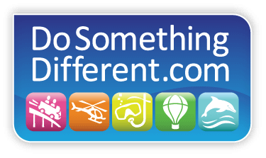 DSD_logo_RGB_2013 WTTC Global Summit Invite